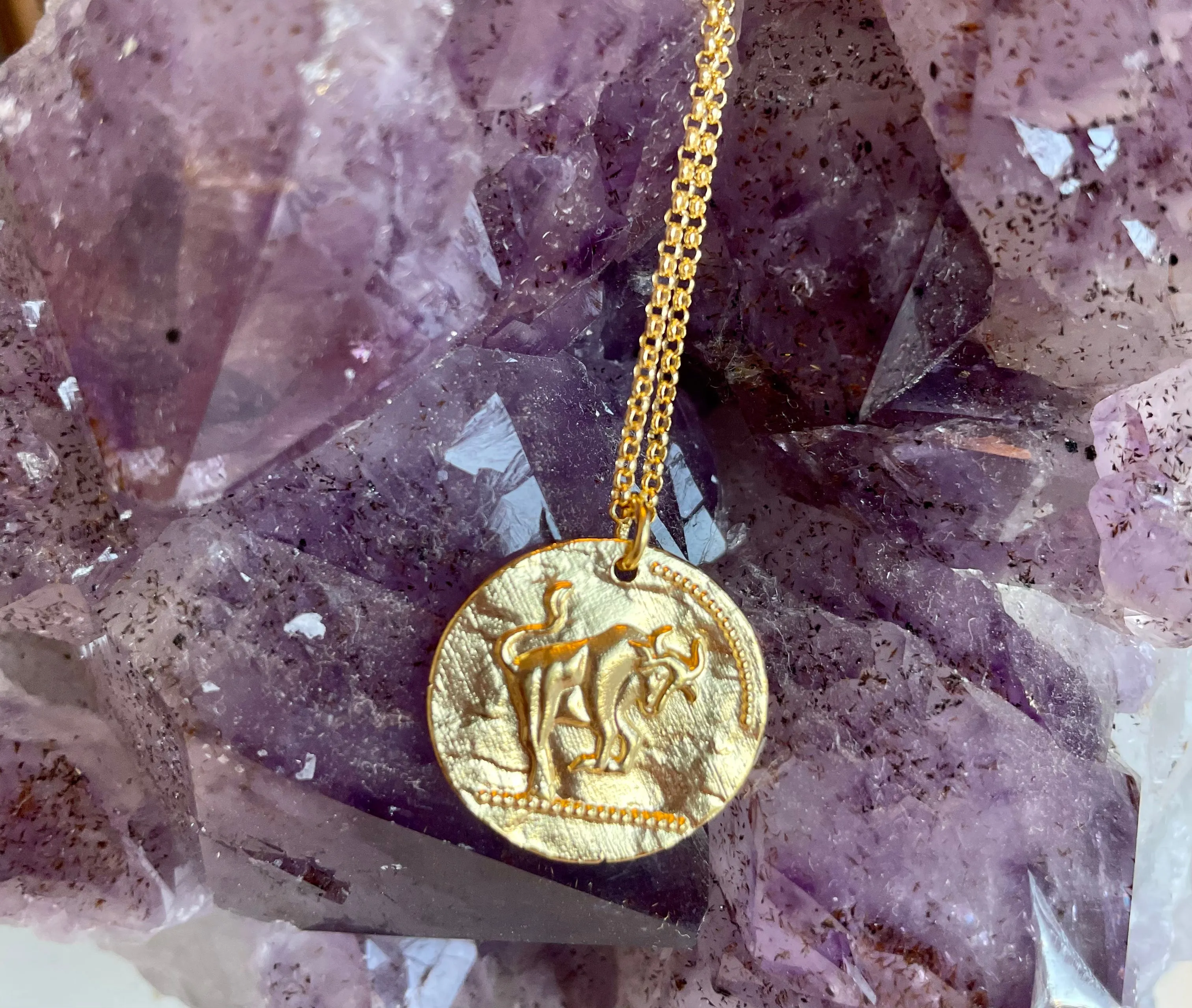 Astrology Coin Necklace