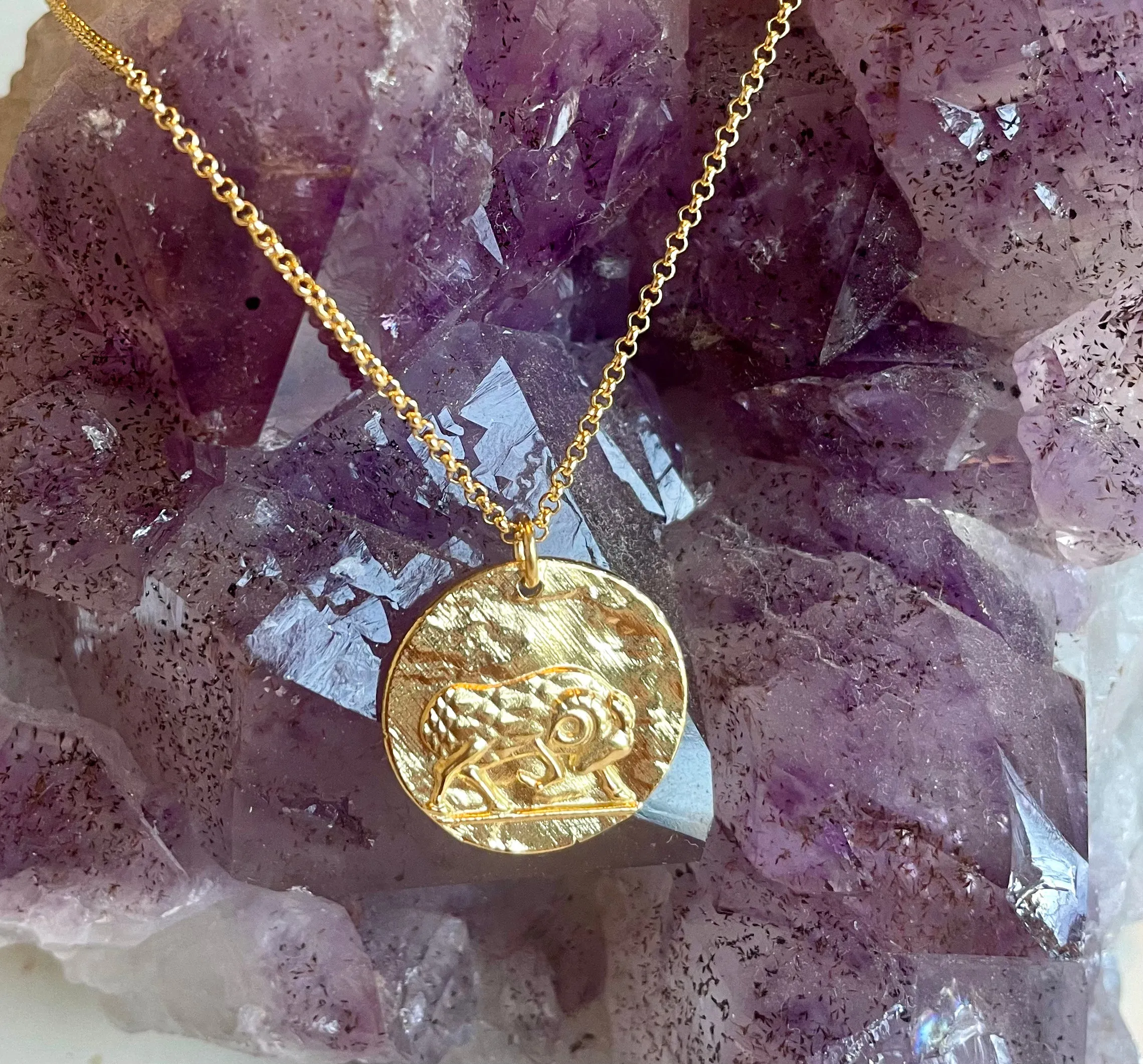 Astrology Coin Necklace
