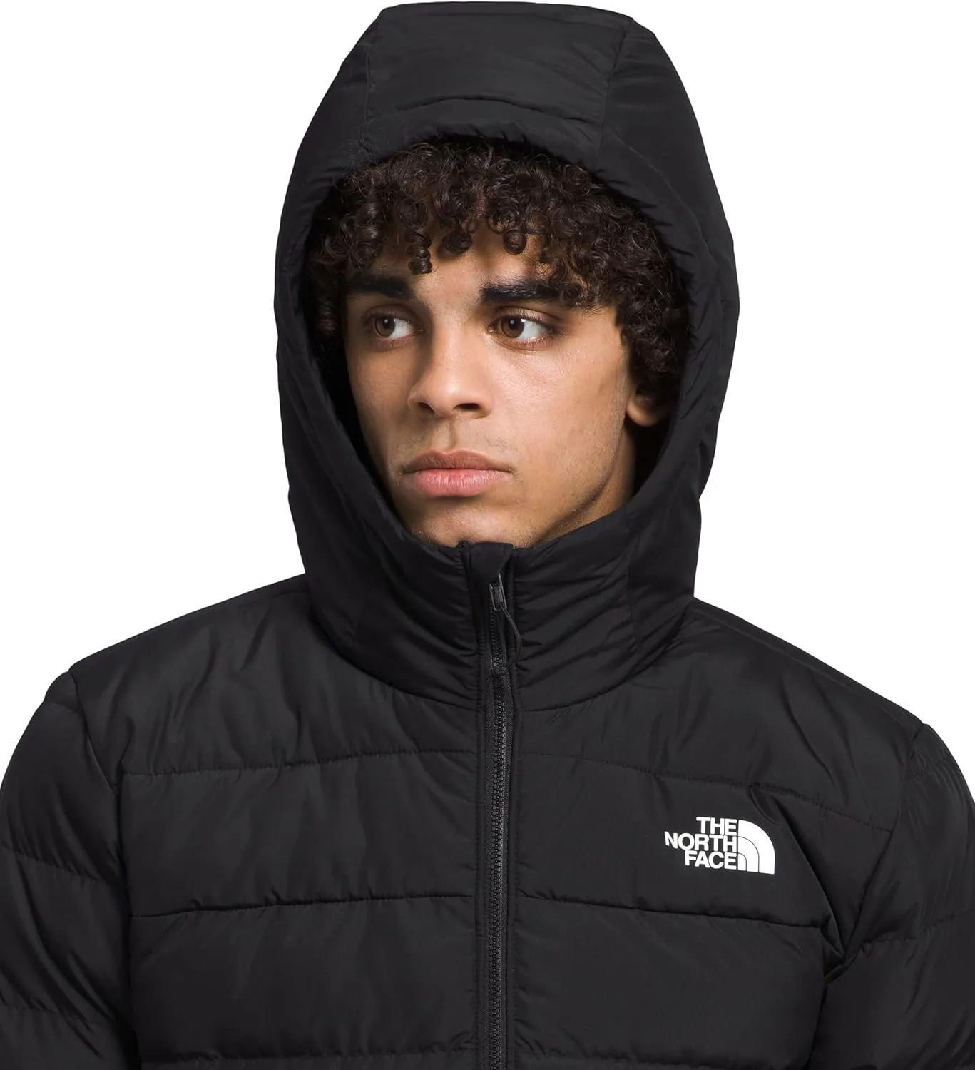 THE NORTH FACE Men's Aconcagua Insulated Hooded Jacket (Standard and Big Size) - PFAS Free